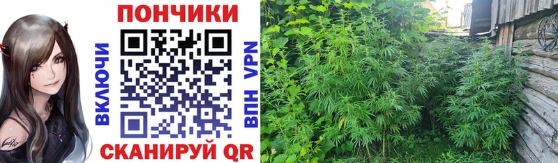 Все наркотики Глазов Alpha PVP  АМФЕТАМИН  ГАШ  Меф мяу мяу 