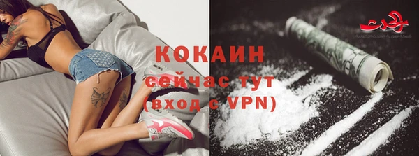 шишки Алексин