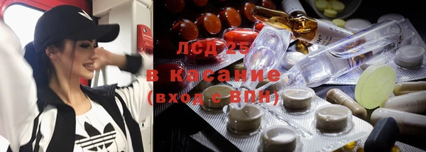 шишки Алексин