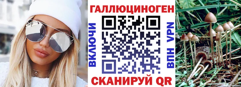 где можно купить Глазов Псилоцибиновые грибы мухоморы